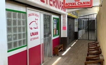 Consultorio médico veterinario