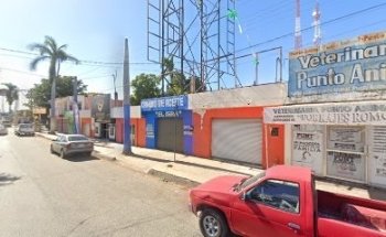 VETERINRIA PUNTO ANIMAL