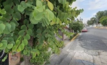 Wild Animal Vet Sucursal Ayotla