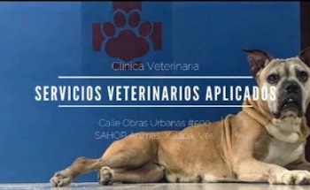 SVA Servicios Veterinarios Aplicados