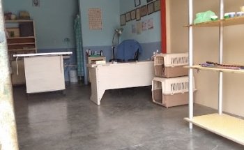 Veterinaria BIOS ANIMAL