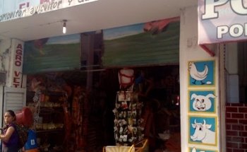 Agroveterinaria el pollito