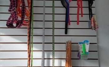 Sinuvet Clínica Veterinaria