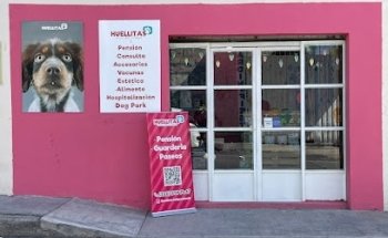 Huellitas Romero Vargas