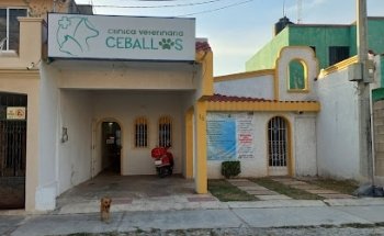 Clinica veterinaria ceballos