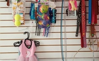 Consultorio Veterinario Moratari