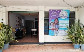 Veterinaria La DOGtora