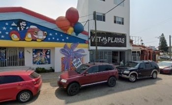 Tijuana Veterinary MRI Imaging