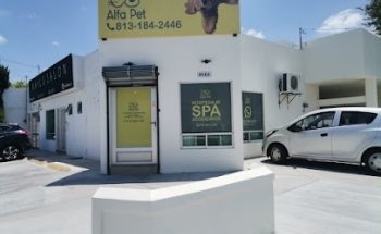 Alfa Pet