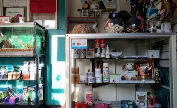 Doctora Elena Aguinaga Velasco