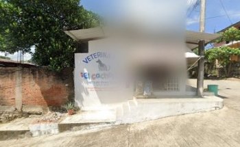 Veterinaria El Cachorro