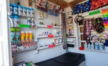 Clínica veterinaria 