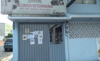 constorio veterinario