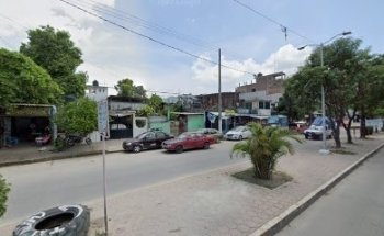 Veterinaria pet lovers