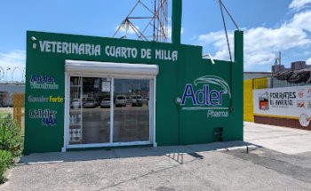 Veterinaria Cuarto de Milla