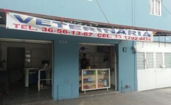 MediVet 10 veterinaria