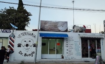 Veterinaria Dr Beagle