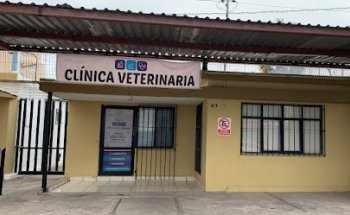 Clínica Veterinaria Bienestar Animal