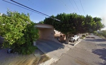 Clínica Veterinaria Dra. Paula