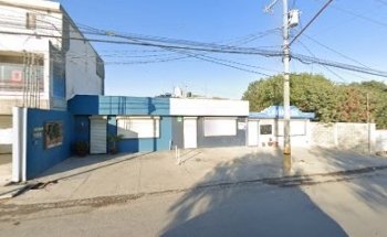 Estética Veterinaria