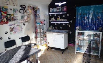 Clínica veterinaria Dogtor feel good.