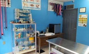 Clínica Veterinaria Dogthor