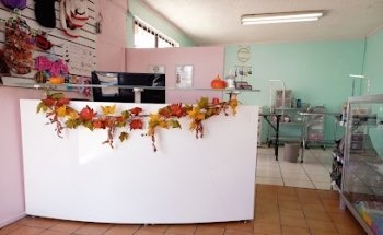 KIMI Estética Canina.