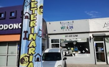 Veterinaria & SPA L U N A