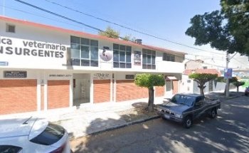 Lopez Tostado Octavio Mvz