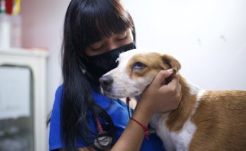 Dra Carolina Ortega - Dermatólogo veterinario en Monterrey