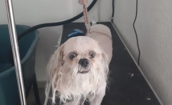 Clini-Can Farmacia Veterinaria