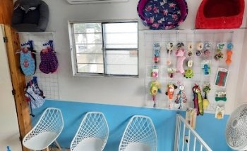 veterinaria El Arca de Noé