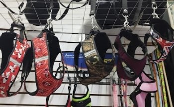 Veterinaria Animalia Pero Shop Spa