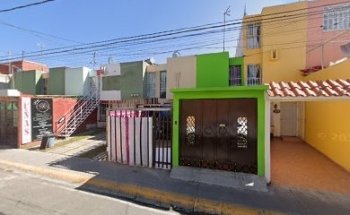 Paty Tas Estètica Canina