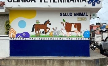 Clínica Veterinaria Salud Animal