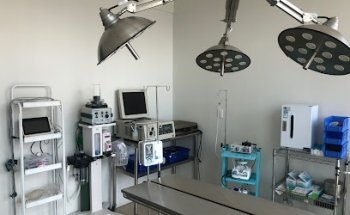 CENVET Hospital Veterinario