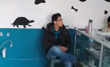 Le Petite Patte Veterinaria