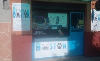 Centro Veterinario 