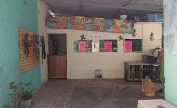 estetica canina golden gold