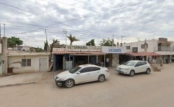 VETERINARIA EL POTRERO