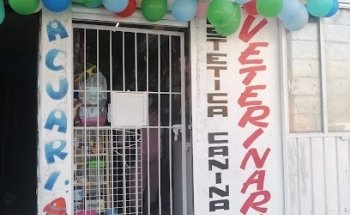 Veterinaria y acuario bichos