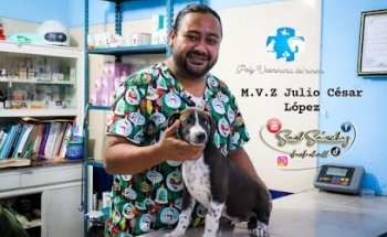 Poly-veterinaria del sureste MVZ Julio