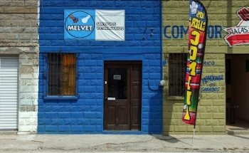 MELVET: Servicios Veterinarios