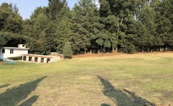 Pensión Canina Campestre 