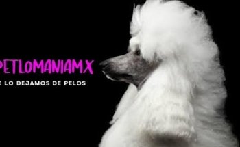 PETLOMANIA MX “Veterinaria,Estetica Canina, Petshop & Acuario” (sucursal valle de los molinos)