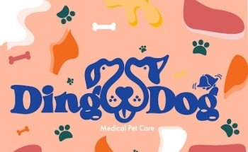 Ding Dog