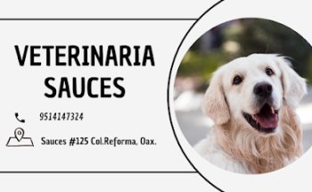 Clínica Veterinaria Sauces