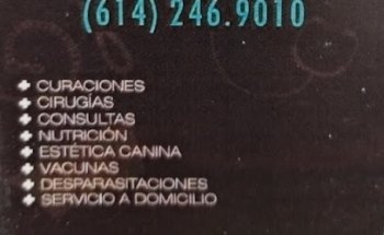 Veterinaria doggycare