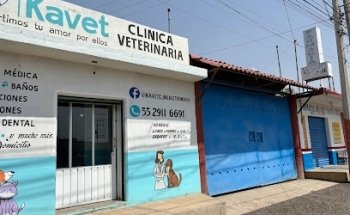 Kavet clinica veterinaria
