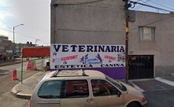 Veterinaria pequeños